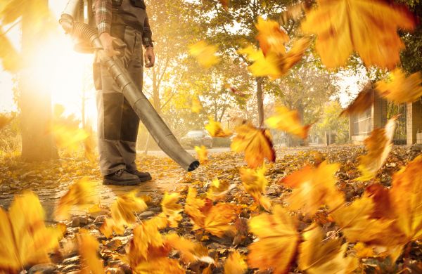 Cost of Leaf Blowing Service in Scranton