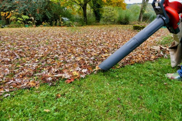 Cost of Leaf Vacuuming Service in Scranton