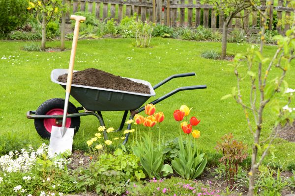 Cost of Spring Yard Cleanup in Scranton