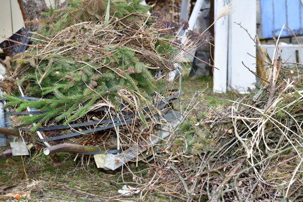 Yard Waste Removal Service in Scranton