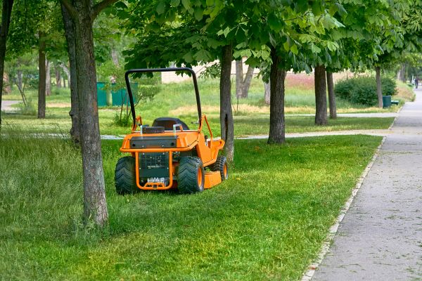 Cost of Landscaping Cleanup Service in Scranton