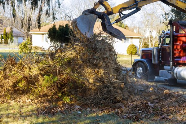Storm Debris Removal in Scranton