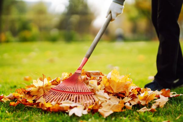 Cost of Ditch Leaf Removal in Scranton