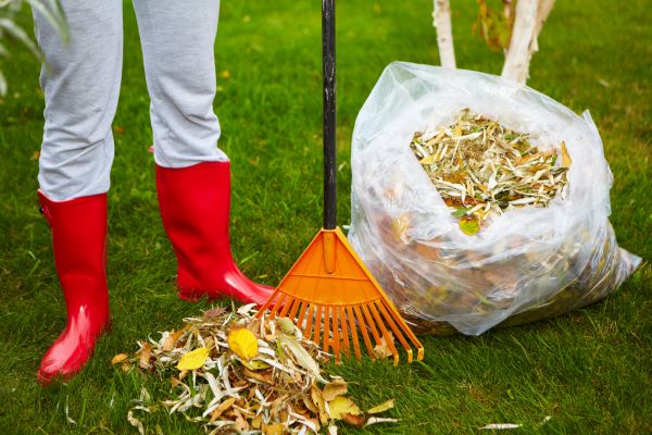 Cost of Leaf Disposal Service in Scranton
