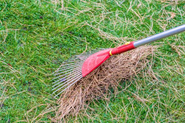 Cost of Yard Raking in Scranton