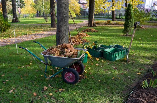 Cost of Leaf Clearing Service in Scranton