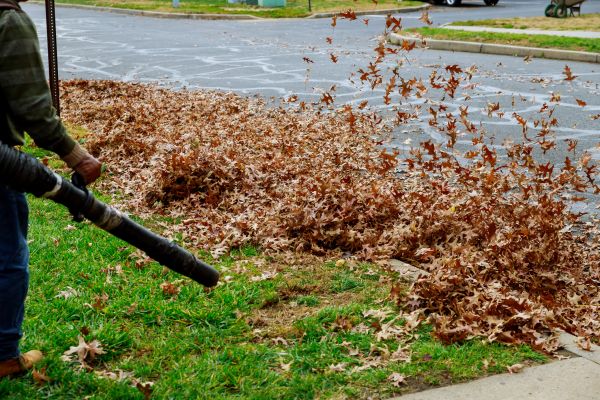 Cost of Garden Leaf Removal in Scranton