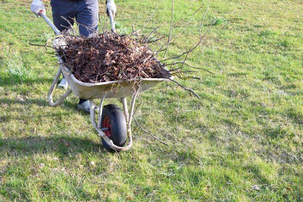 Yard Brush Removal in Scranton