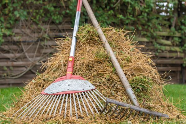 Cost of Pine Straw Clearing in Scranton