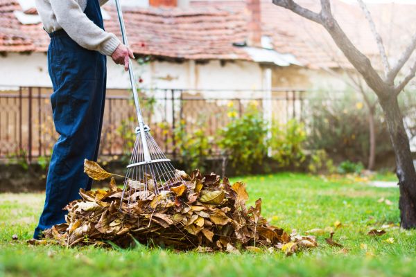 Cost of Spring Lawn Cleanup in Scranton