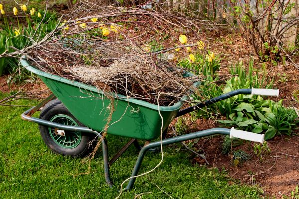 Lawn Waste Removal in Scranton