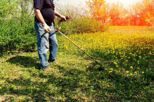 Cost of Yard Clearing Service in Scranton