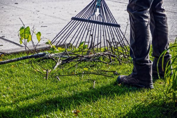 Cost of Yard Debris Cleanup in Scranton