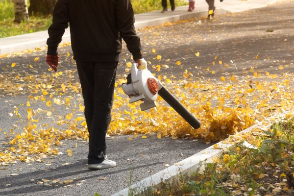 Cost of Commercial Leaf Removal in Scranton