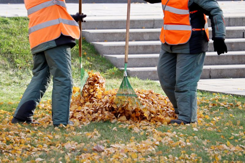 Leaf Cleanup in Progress