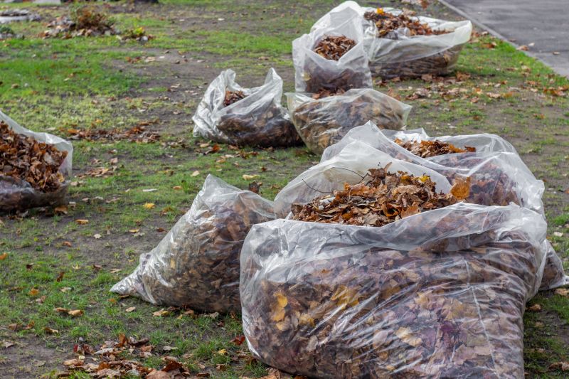 Piles of Collected Leaves
