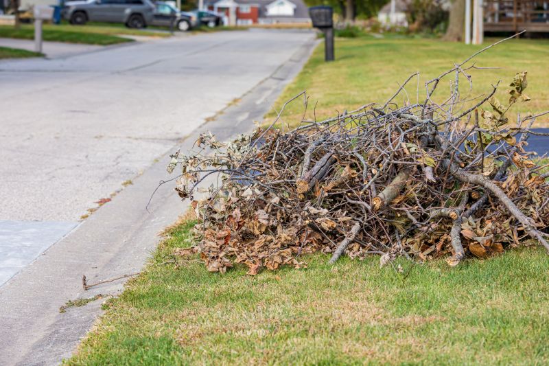 Yard Debris Removal